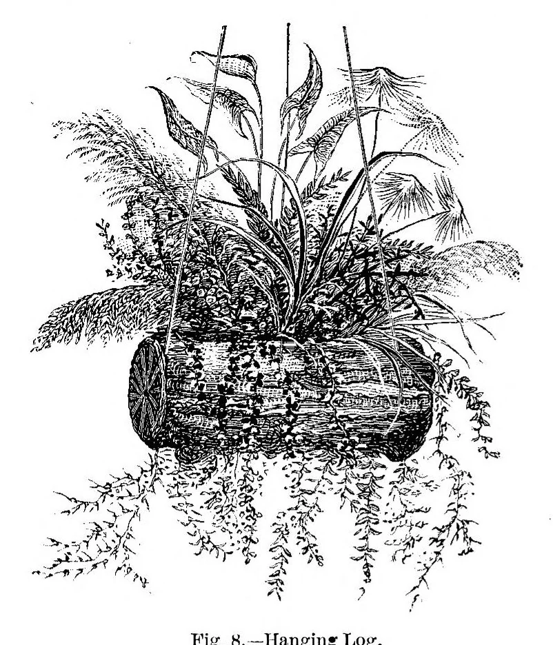 An illustration from Scientific American, Vol. 42, No. 15 (1880), 1880, leaf 4