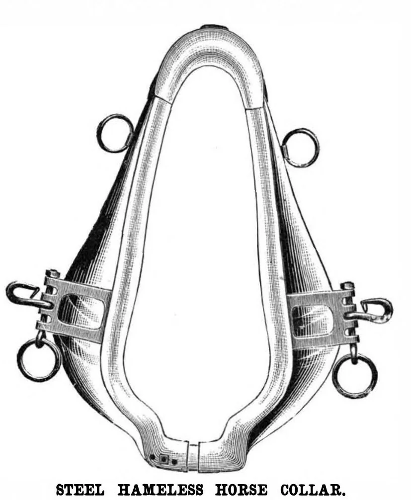An illustration from Scientific American, Vol. 42, No. 16 (1880), 1880, leaf 4