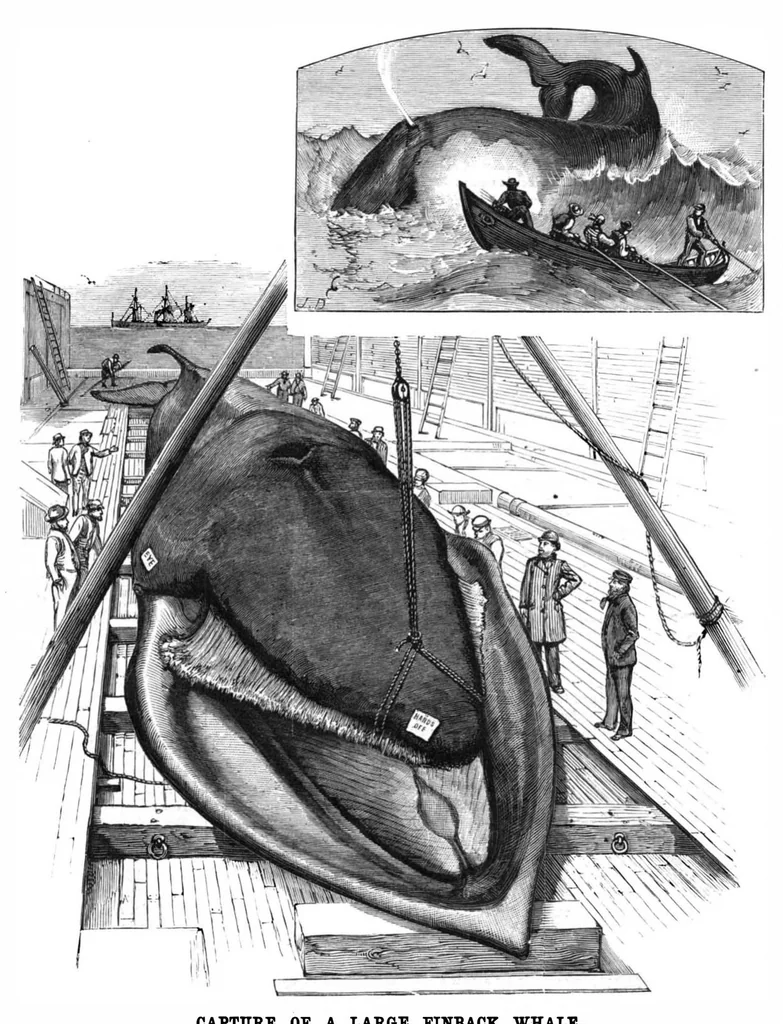 An illustration from Scientific American, Vol. 42, No. 16 (1880), 1880, leaf 8