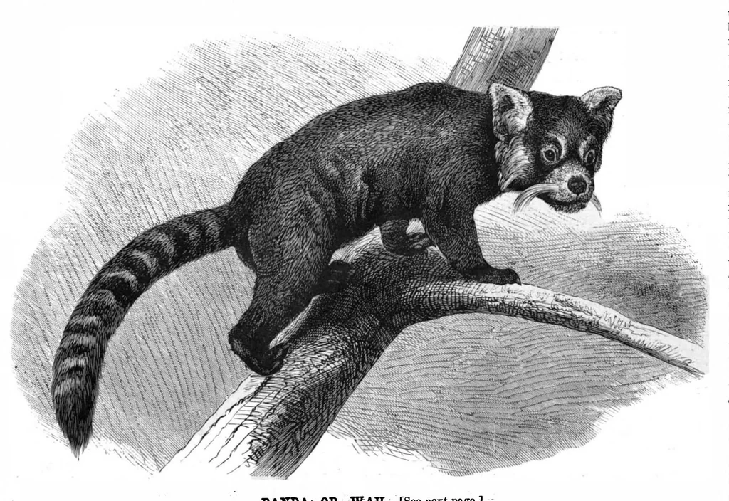 An illustration from Scientific American, Vol. 42, No. 18 (1880), 1880, leaf 8