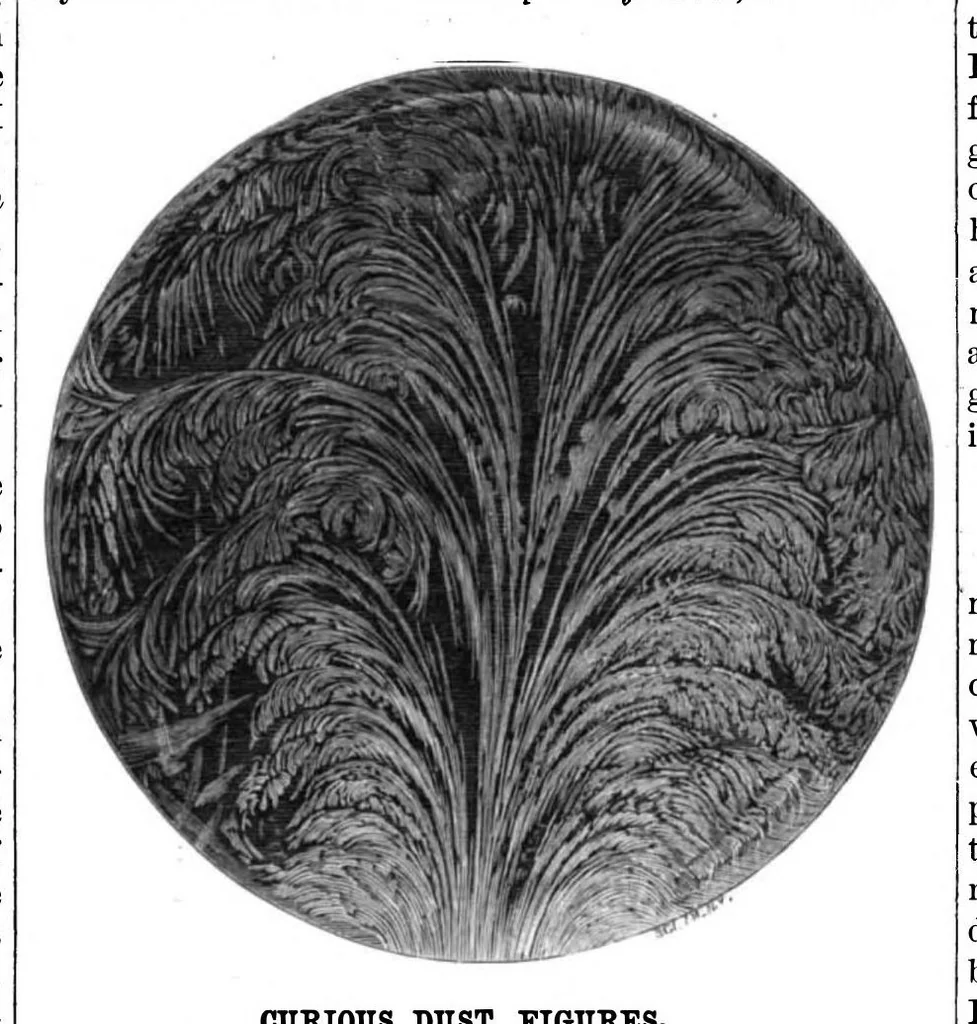 An illustration from Scientific American, Vol. 42, No. 21 (1880), 1880, leaf 8