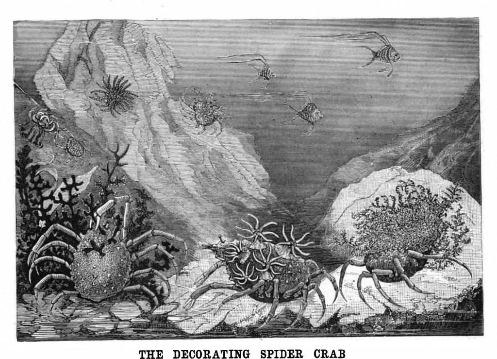 An illustration from Scientific American, Vol. 42, No. 22 (1880), 1880, leaf 8