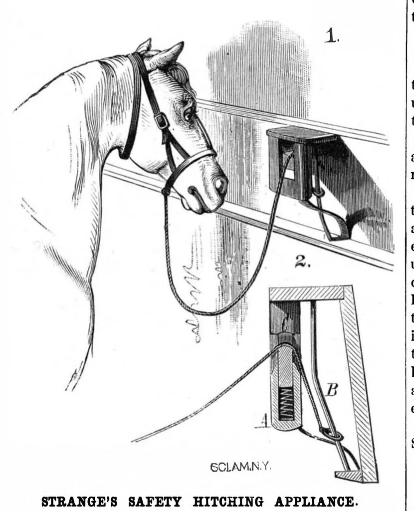 An illustration from Scientific American, Vol. 42, No. 25 (1880), 1880, leaf 4