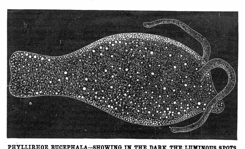 An illustration from Scientific American, Vol. 43, No. 1 (1880), 1880, leaf 7