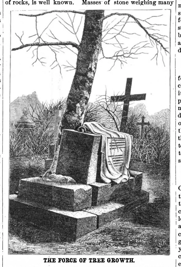 An illustration from Scientific American, Vol. 43, No. 1 (1880), 1880, leaf 7