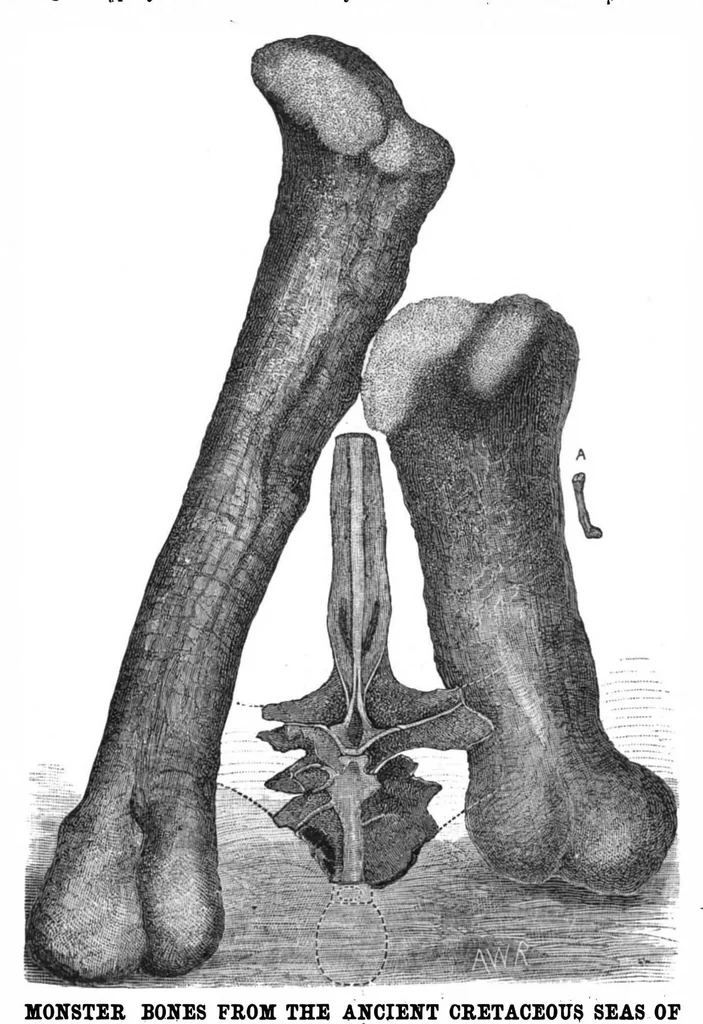 An illustration from Scientific American, Vol. 43, No. 5 (1880), 1880, leaf 8