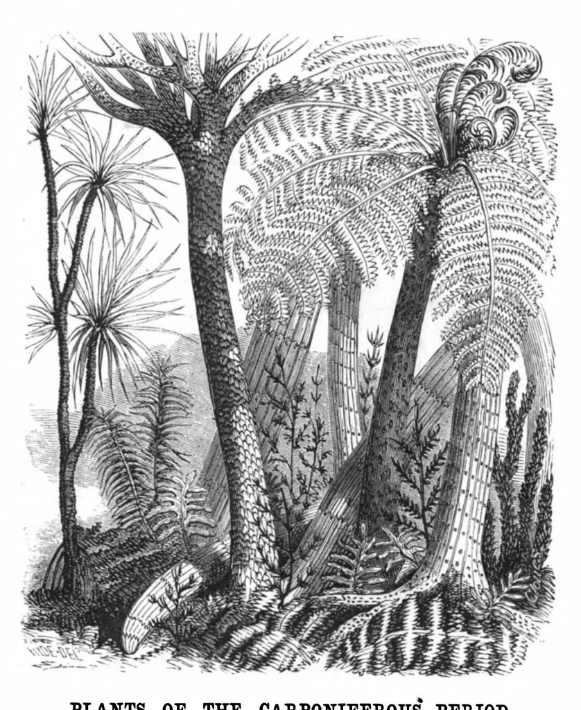 An illustration from Scientific American, Vol. 43, No. 7 (1880), 1880, leaf 9