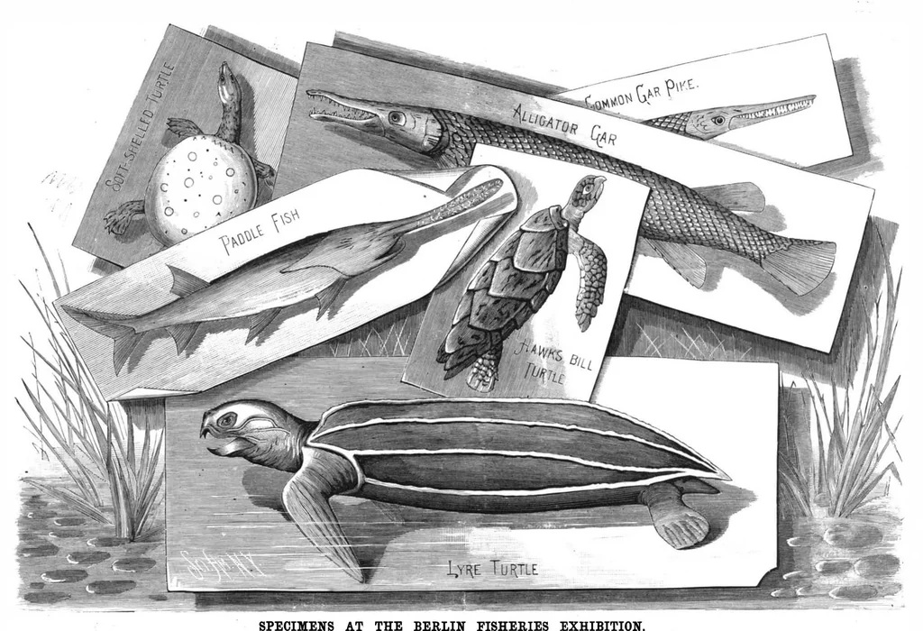 An illustration from Scientific American, Vol. 43, No. 8 (1880), 1880, leaf 8