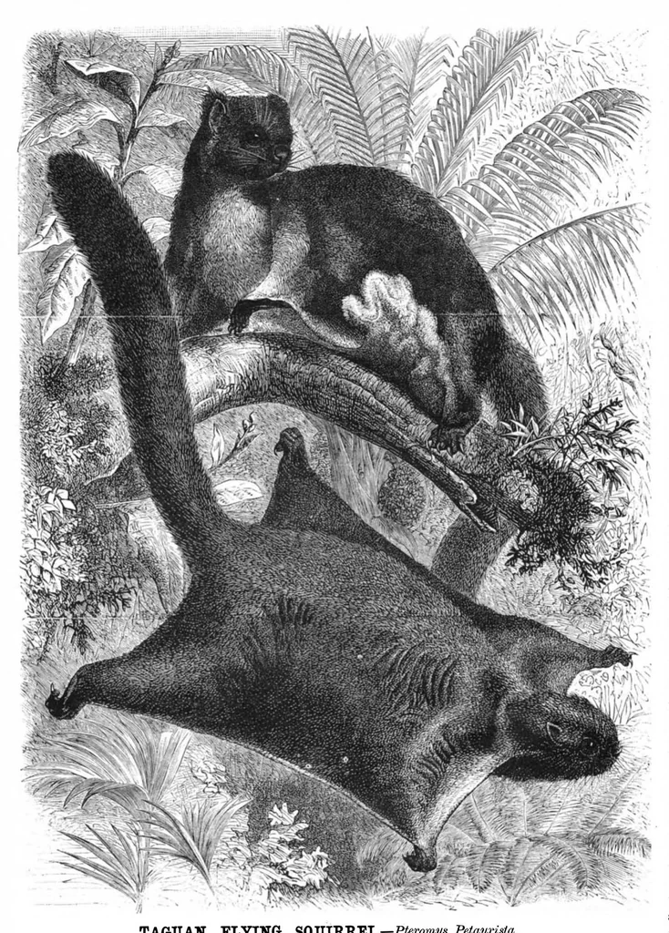 An illustration from Scientific American, Vol. 43, No. 9 (1880), 1880, leaf 8