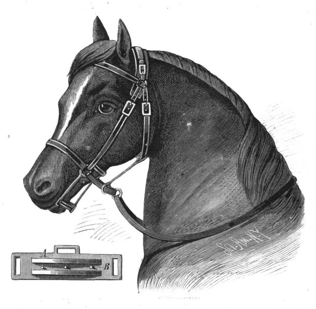 An illustration from Scientific American, Vol. 43, No. 12 (1880), 1880, leaf 7