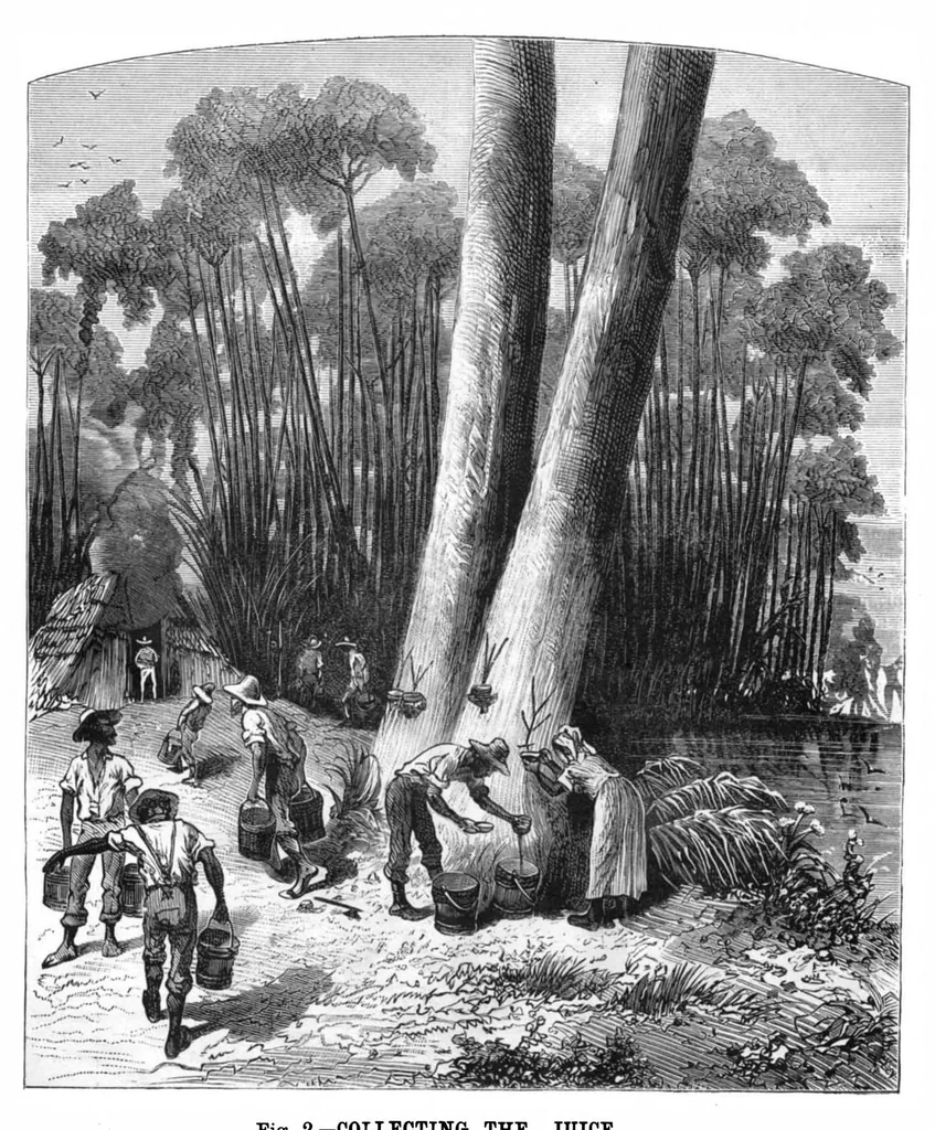 An illustration from Scientific American, Vol. 43, No. 12 (1880), 1880, leaf 8