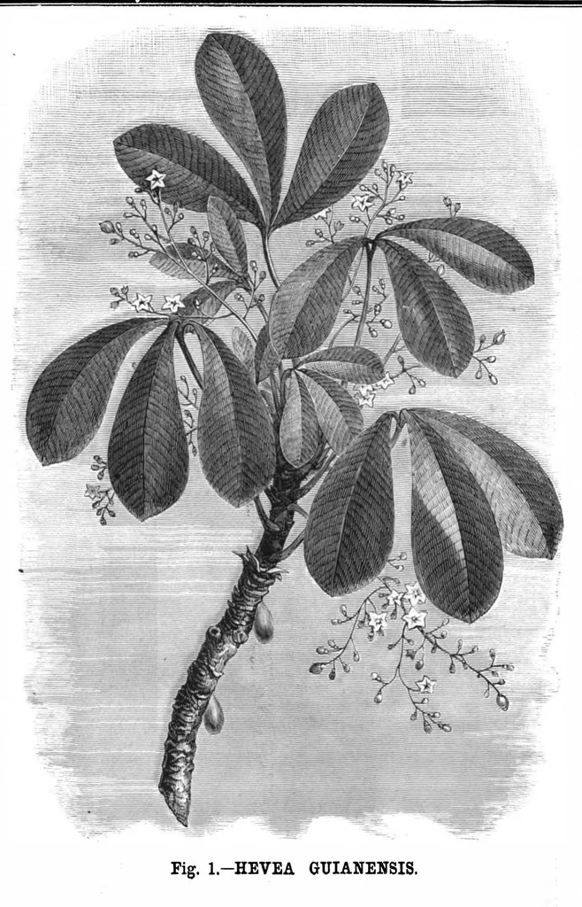 An illustration from Scientific American, Vol. 43, No. 12 (1880), 1880, leaf 8
