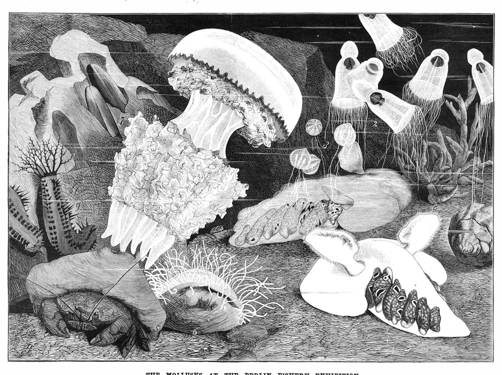 An illustration from Scientific American, Vol. 43, No. 15 (1880), 1880, leaf 8