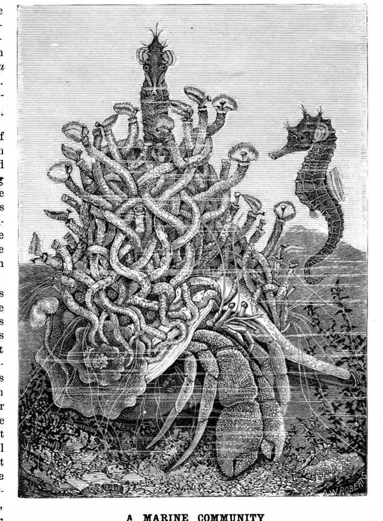 An illustration from Scientific American, Vol. 43, No. 16 (1880), 1880, leaf 8