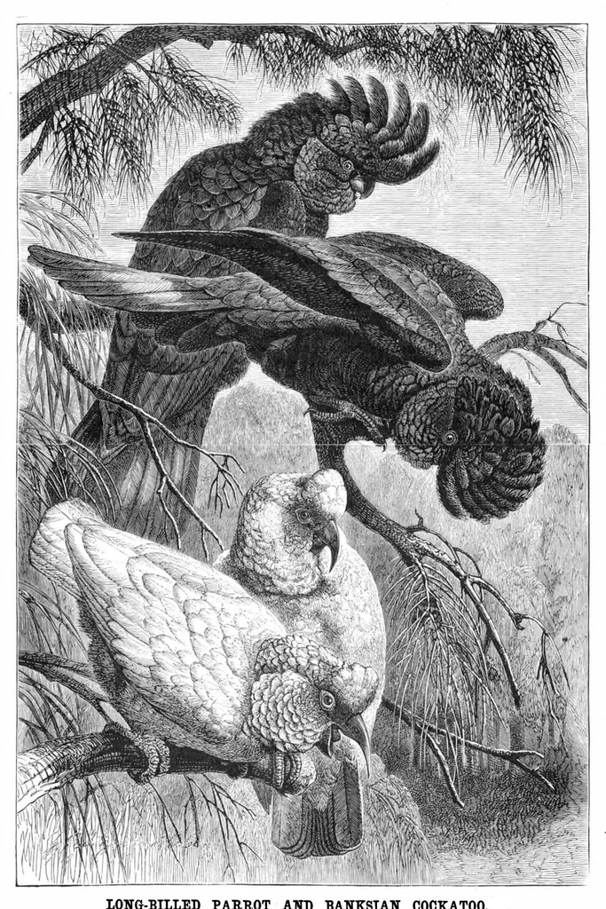 An illustration from Scientific American, Vol. 43, No. 17 (1880), 1880, leaf 8