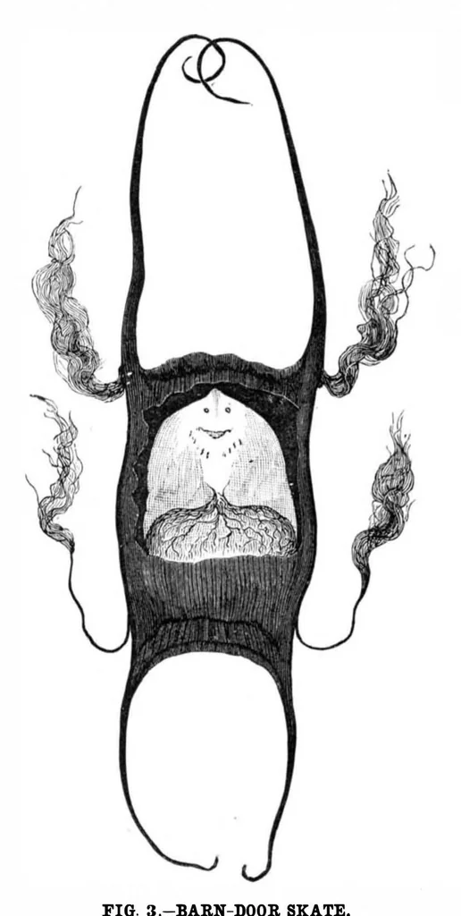 An illustration from Scientific American, Vol. 43, No. 17 (1880), 1880, leaf 9