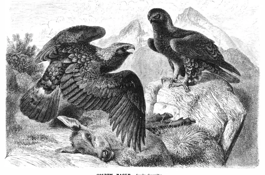 An illustration from Scientific American, Vol. 43, No. 21 (1880), 1880, leaf 8