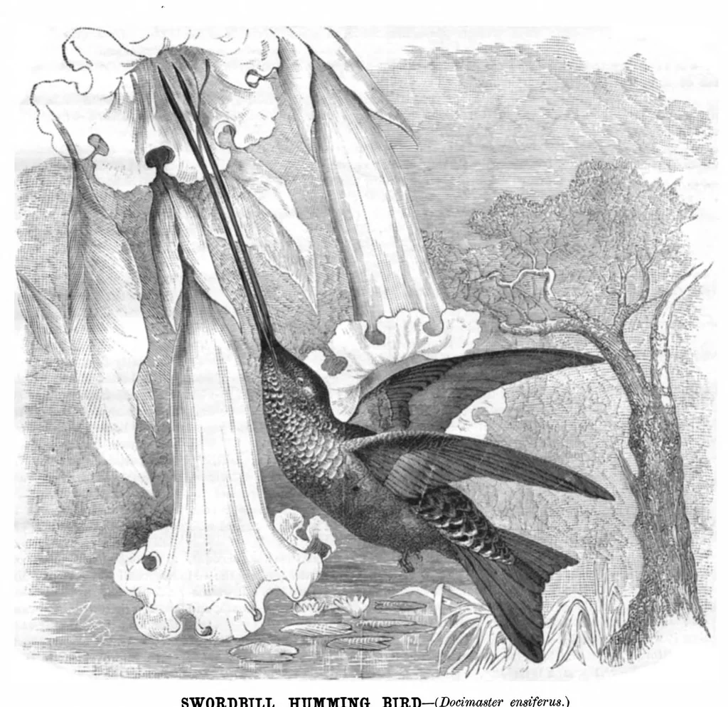 An illustration from Scientific American, Vol. 44, No. 2 (1881), 1881, leaf 8