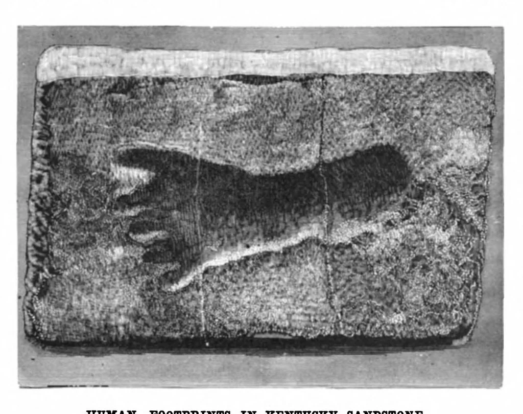 An illustration from Scientific American, Vol. 44, No. 3 (1881), 1881, leaf 11