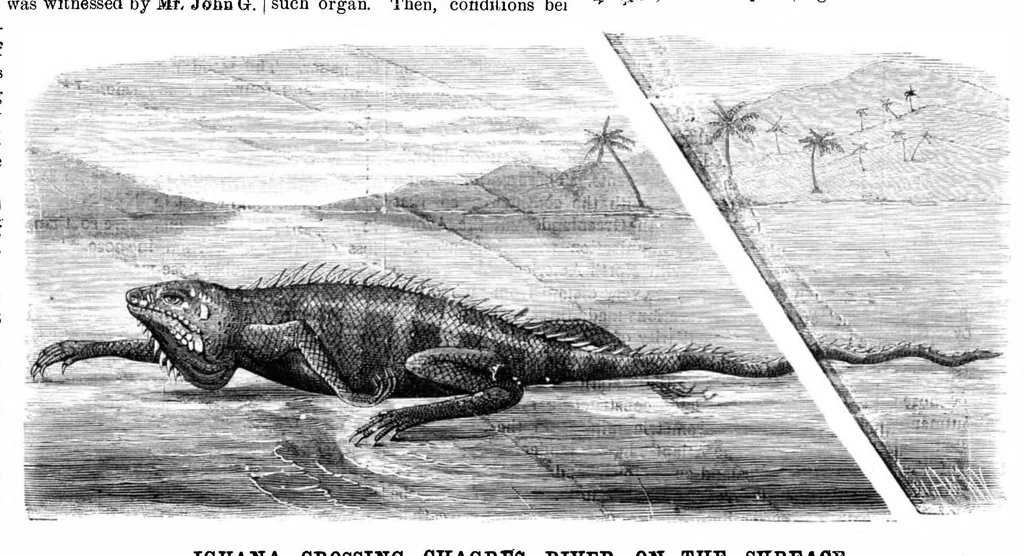 An illustration from Scientific American, Vol. 44, No. 4 (1881), 1881, leaf 8