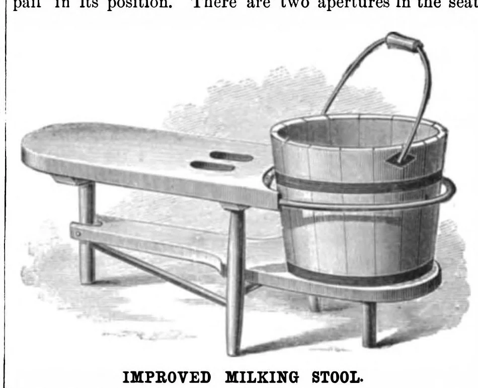 An illustration from Scientific American, Vol. 44, No. 5 (1881), 1881, leaf 4