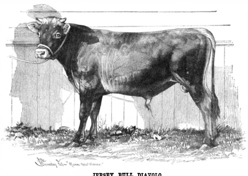 An illustration from Scientific American, Vol. 44, No. 6 (1881), 1881, leaf 8