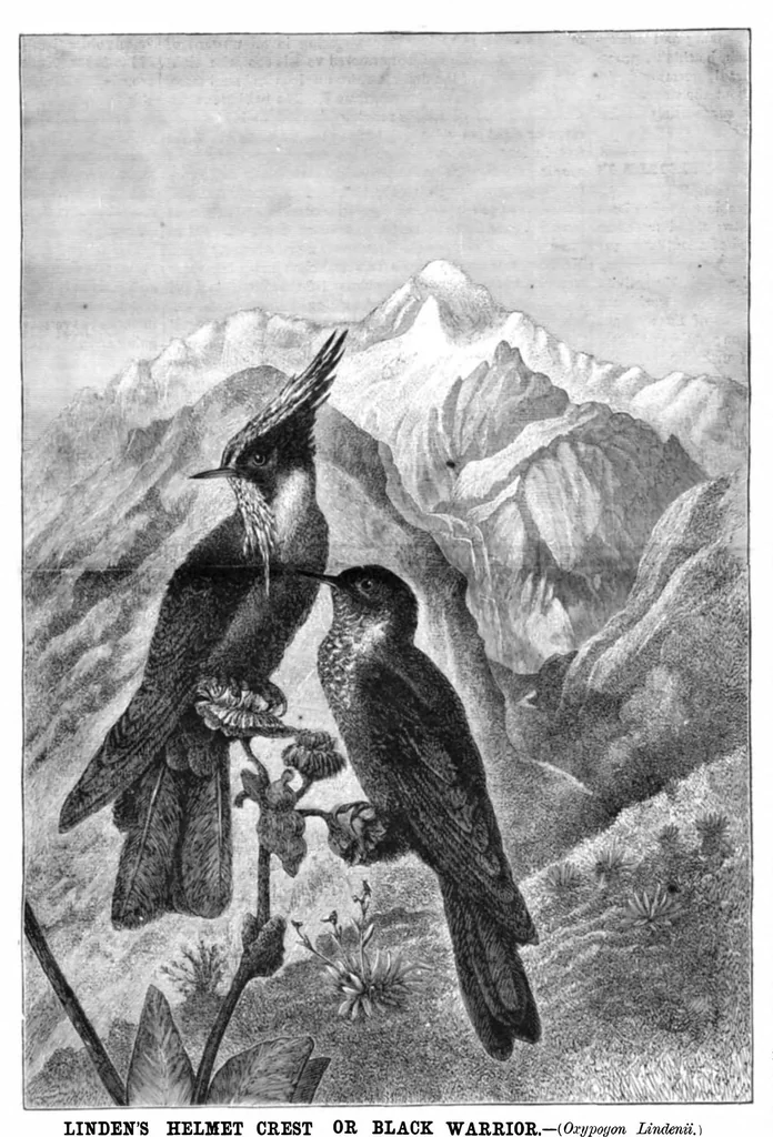 An illustration from Scientific American, Vol. 44, No. 7 (1881), 1881, leaf 8