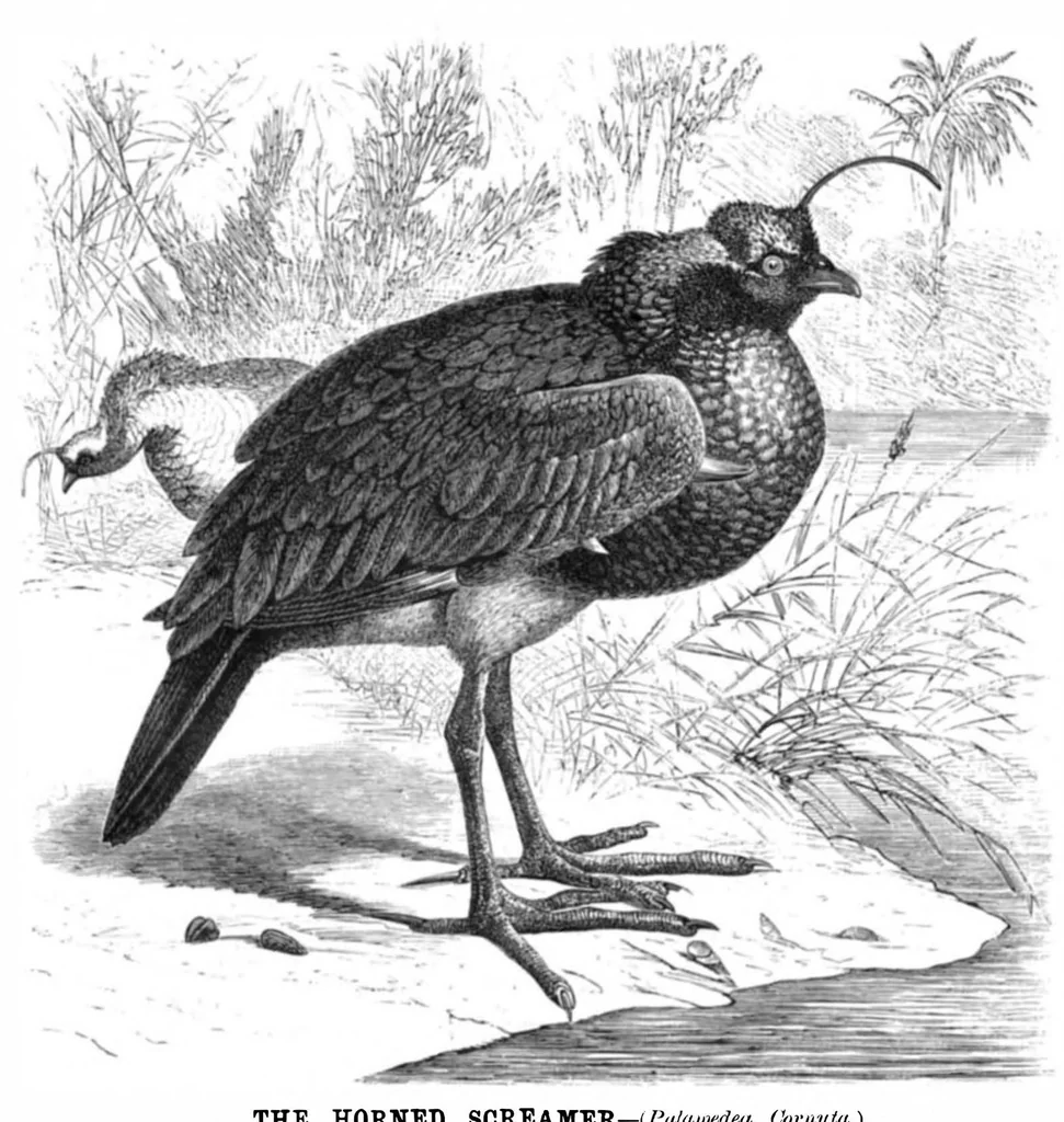 An illustration from Scientific American, Vol. 44, No. 12 (1881), 1881, leaf 8
