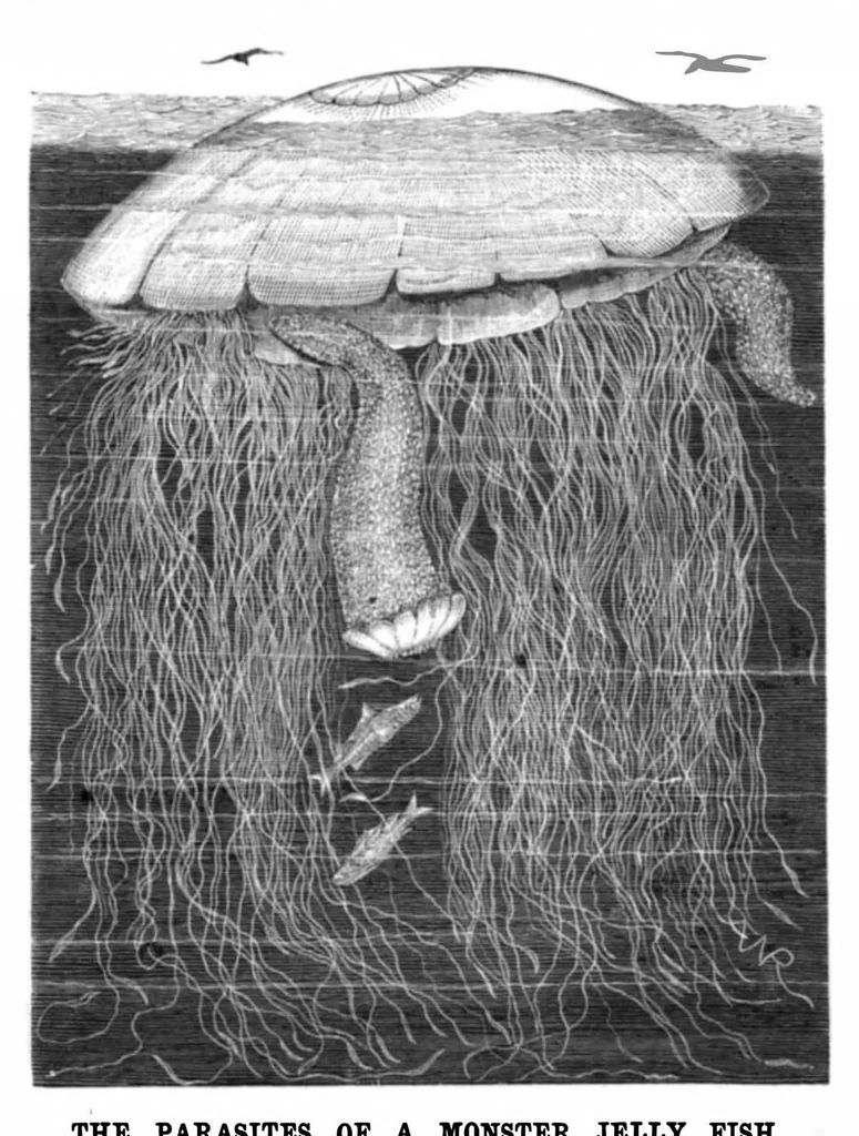 An illustration from Scientific American, Vol. 44, No. 13 (1881), 1881, leaf 8