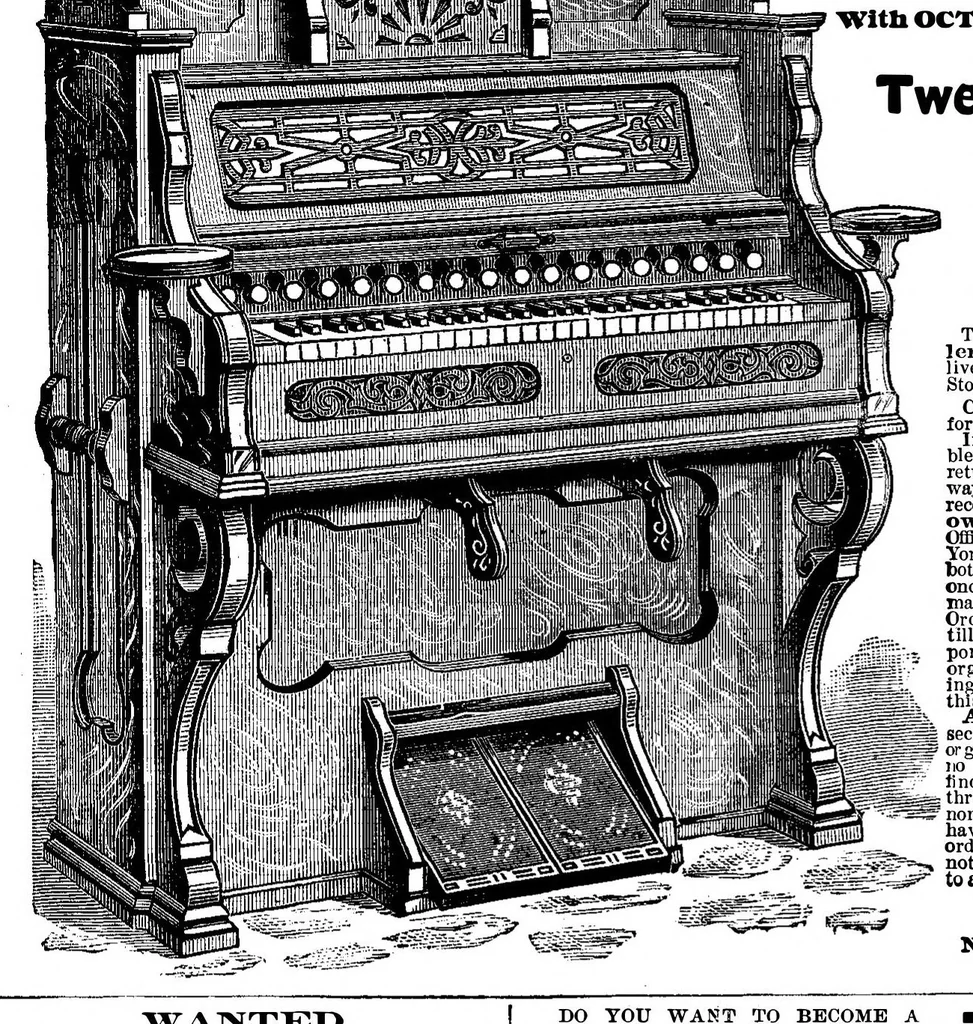 An illustration from Scientific American, Vol. 44, No. 21 (1881), 1881, leaf 13