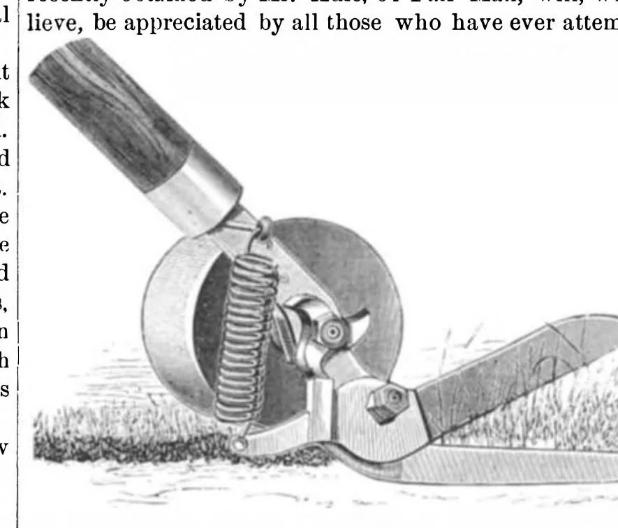 An illustration from Scientific American, Vol. 44, No. 23 (1881), 1881, leaf 6