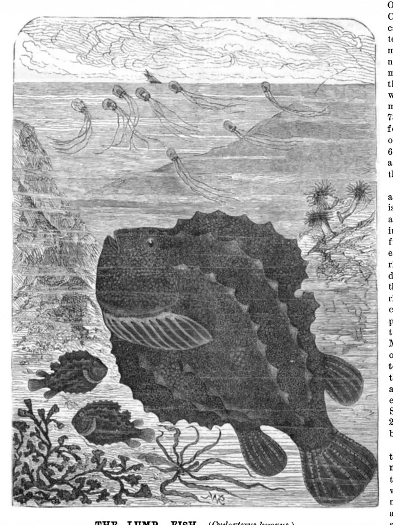 An illustration from Scientific American, Vol. 44, No. 25 (1881), 1881, leaf 8