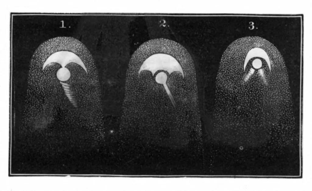 An illustration from Scientific American, Vol. 45, No. 5 (1881), 1881, leaf 6