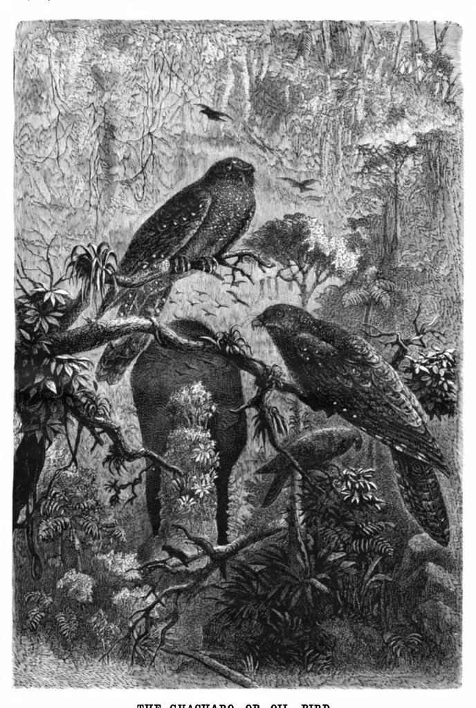 An illustration from Scientific American, Vol. 45, No. 9 (1881), 1881, leaf 8