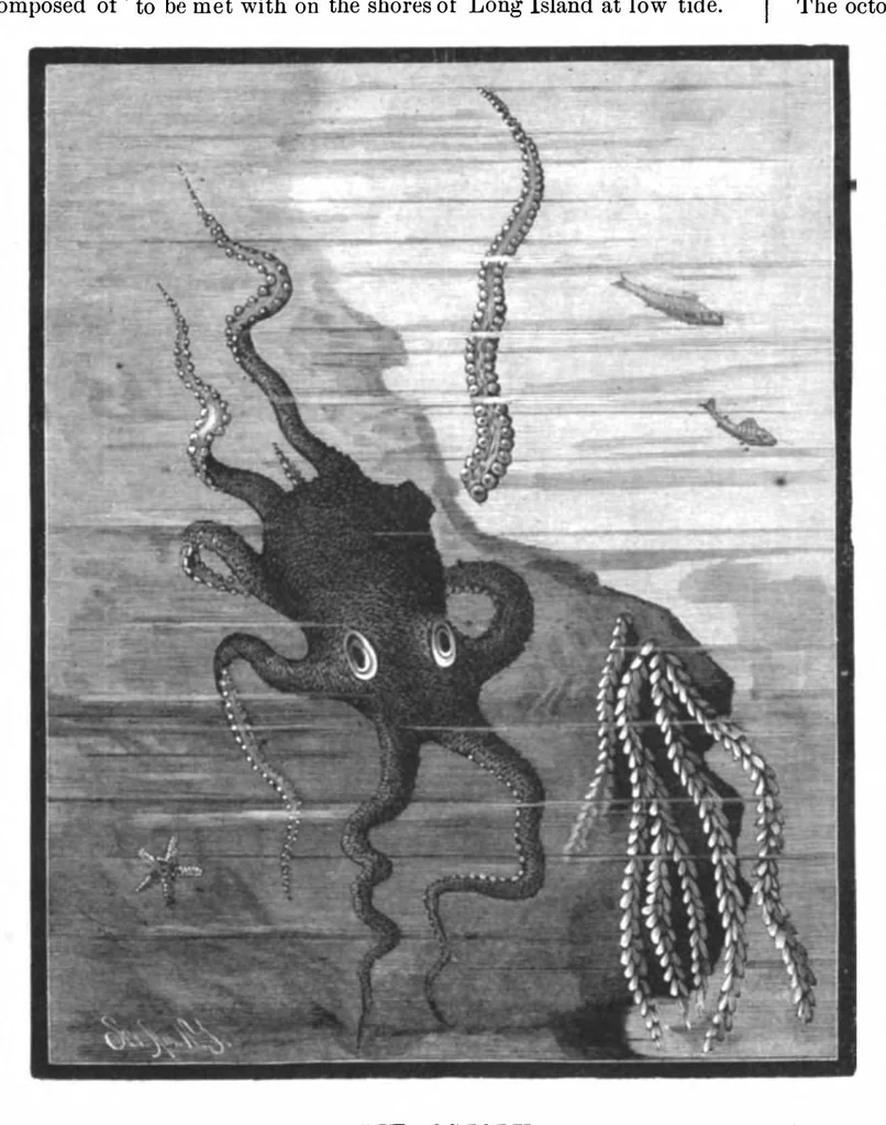 An illustration from Scientific American, Vol. 45, No. 11 (1881), 1881, leaf 8