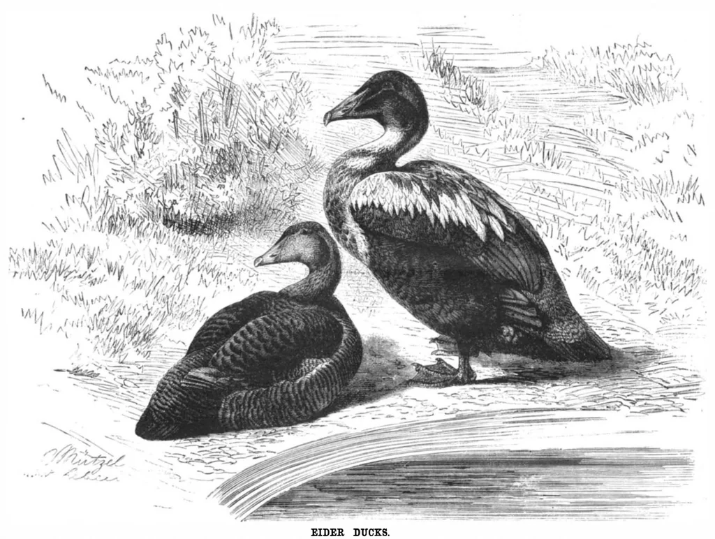 An illustration from Scientific American, Vol. 45, No. 16 (1881), 1881, leaf 8