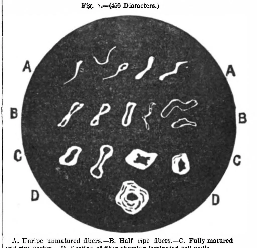 An illustration from Scientific American, Vol. 45, No. 18 (1881), 1881, leaf 2