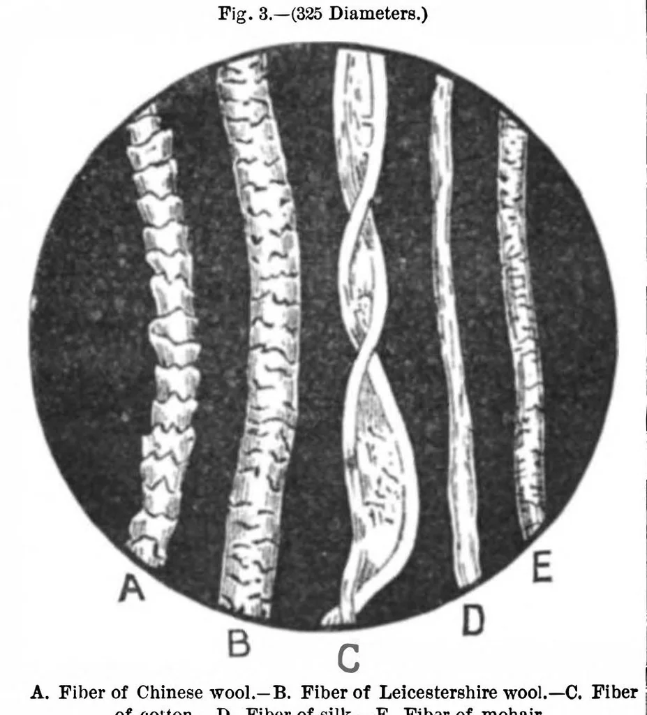 An illustration from Scientific American, Vol. 45, No. 18 (1881), 1881, leaf 2
