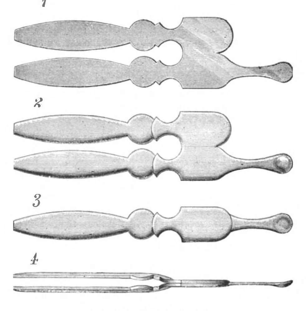 An illustration from Scientific American, Vol. 45, No. 18 (1881), 1881, leaf 3