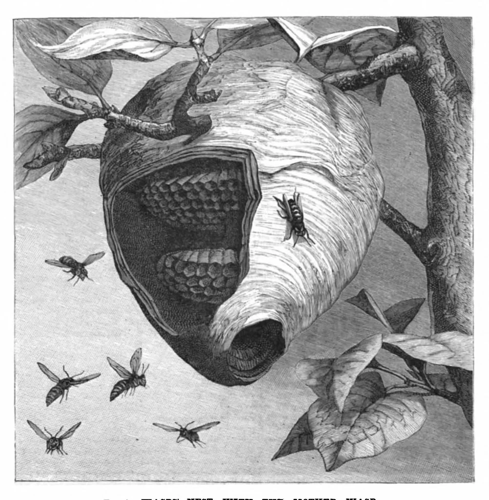 An illustration from Scientific American, Vol. 45, No. 20 (1881), 1881, leaf 10