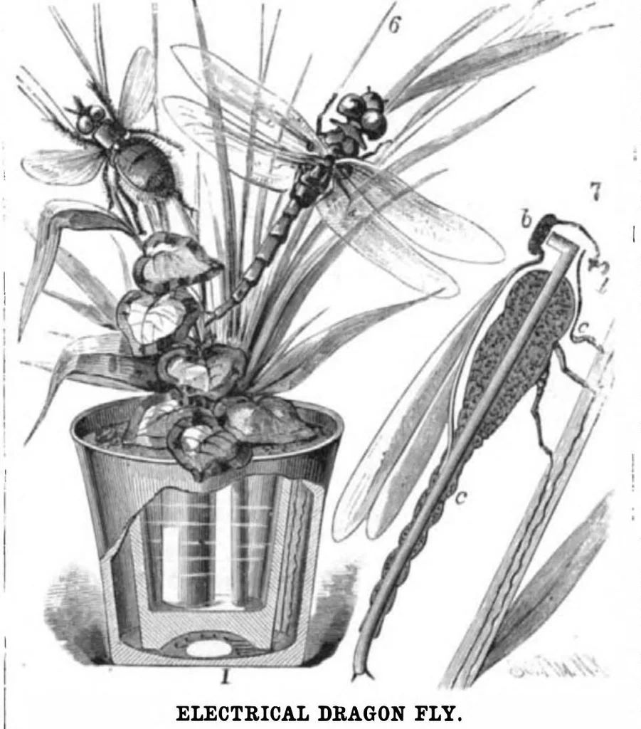 An illustration from Scientific American, Vol. 45, No. 21 (1881), 1881, leaf 8