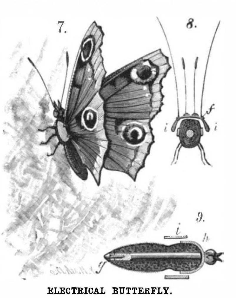 An illustration from Scientific American, Vol. 45, No. 21 (1881), 1881, leaf 8