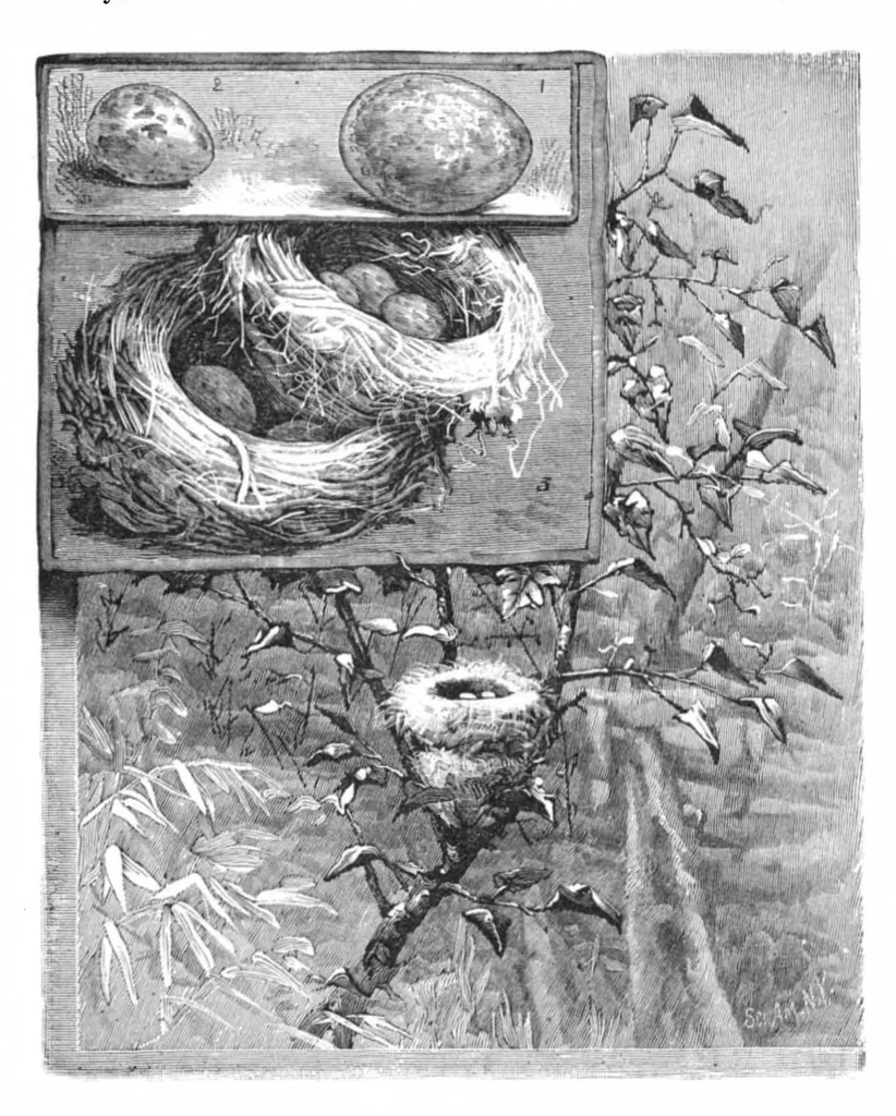 An illustration from Scientific American, Vol. 46, No. 11 (1882), 1882, leaf 10
