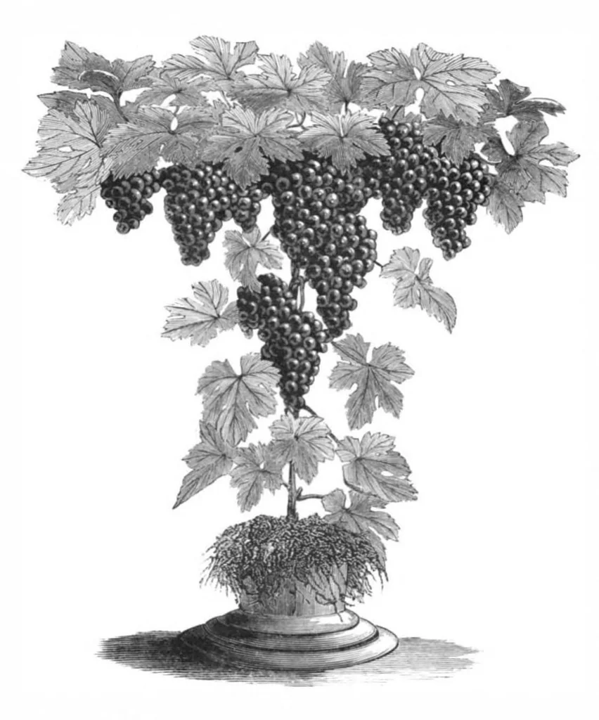 An illustration from Scientific American, Vol. 46, No. 12 (1882), 1882, leaf 8