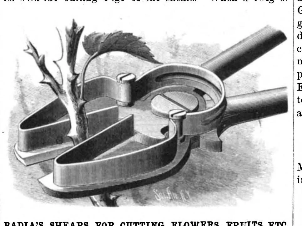 An illustration from Scientific American, Vol. 46, No. 16 (1882), 1882, leaf 7