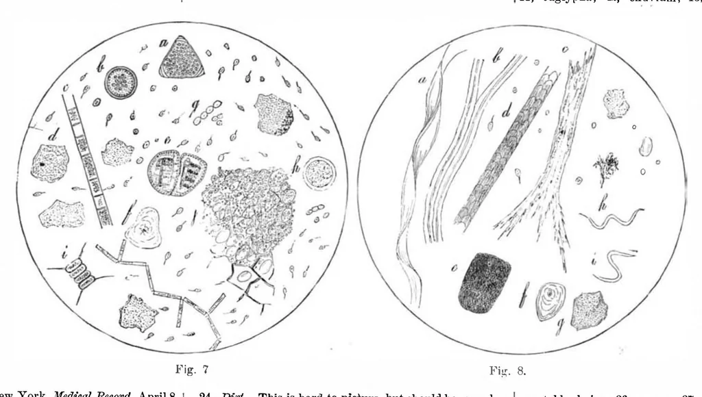 An illustration from Scientific American, Vol. 47, No. 5 (1882), 1882, leaf 9