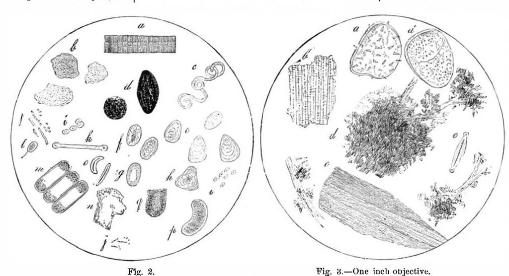 An illustration from Scientific American, Vol. 47, No. 5 (1882), 1882, leaf 9