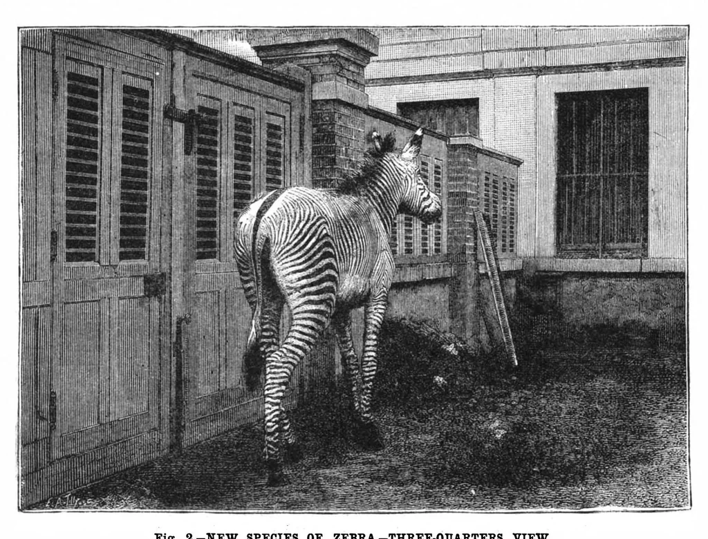 An illustration from Scientific American, Vol. 47, No. 7 (1882), 1882, leaf 8