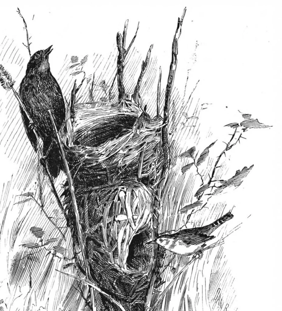 An illustration from Scientific American, Vol. 47, No. 8 (1882), 1882, leaf 8