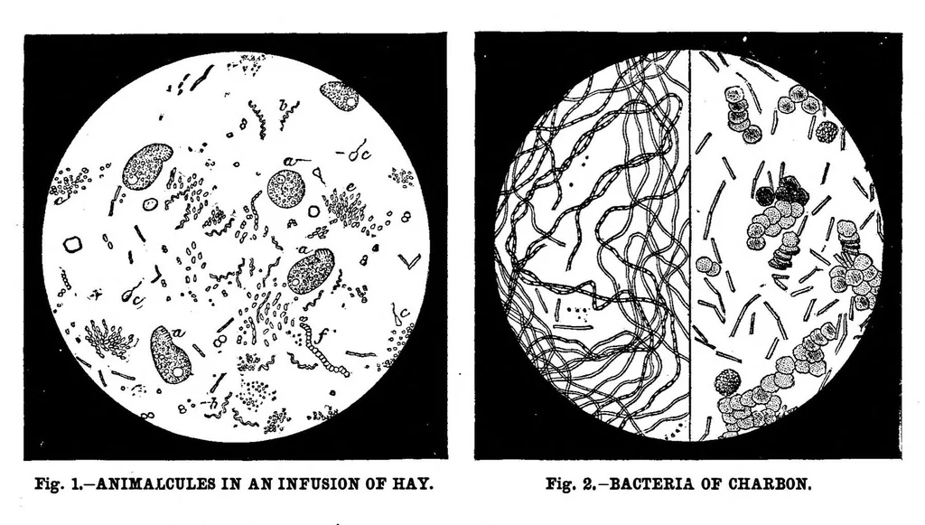 An illustration from Scientific American, Vol. 47, No. 12 (1882), 1882, leaf 8